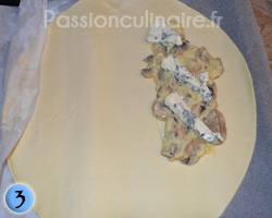 Montage dartois champignons