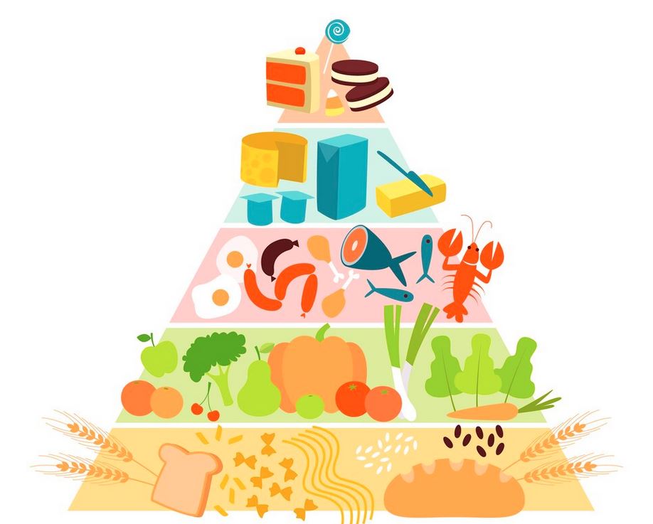 7 groupes alimentaires