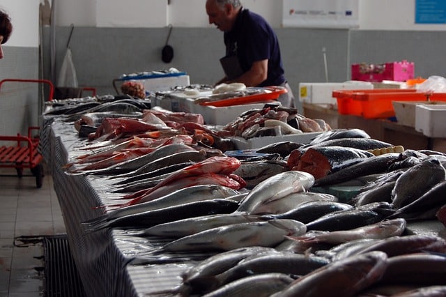 autour du poisson