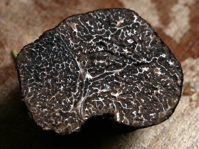 truffe d'hiver